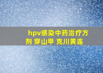 hpv感染中药治疗方剂 穿山甲 克川黄连